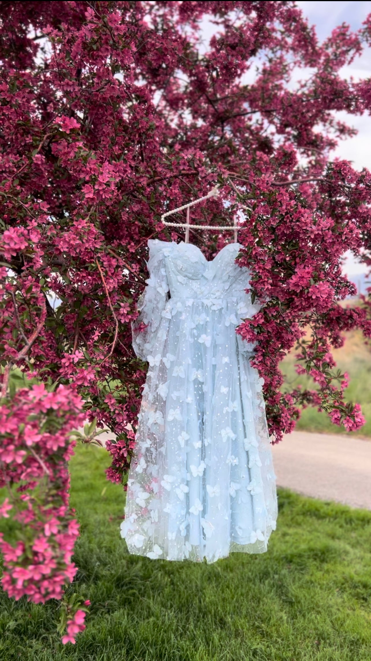 Buy Fair Lady Blue Butterfly Princess Prom Dresses 2020 Ball Gowns Evening  Dress Long Quinceanera Party Gowns at Amazon.in